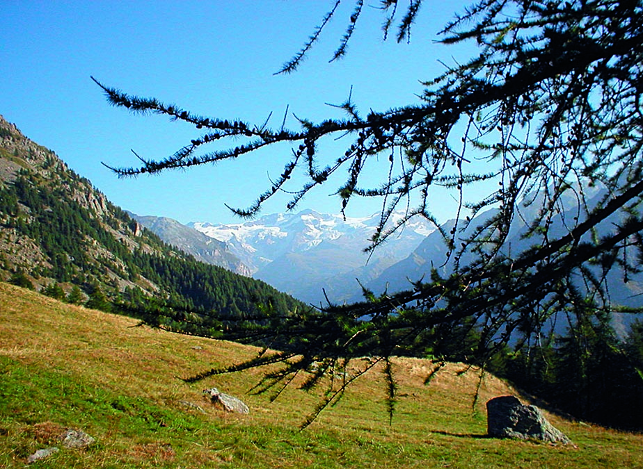 Gletschermassiv Monte Rosa – der Gourner